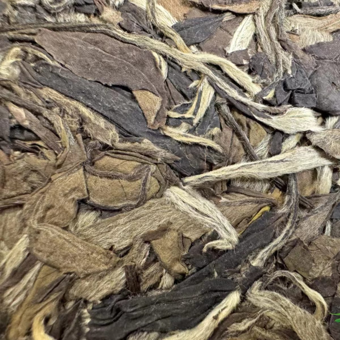 Premium 2009 Vintage Fu Ding White Tea - 300g Loose Leaf Peony White Tea (0923) | Authentic Chinese Tea for Relaxation, Gifting & Tea Ceremonies