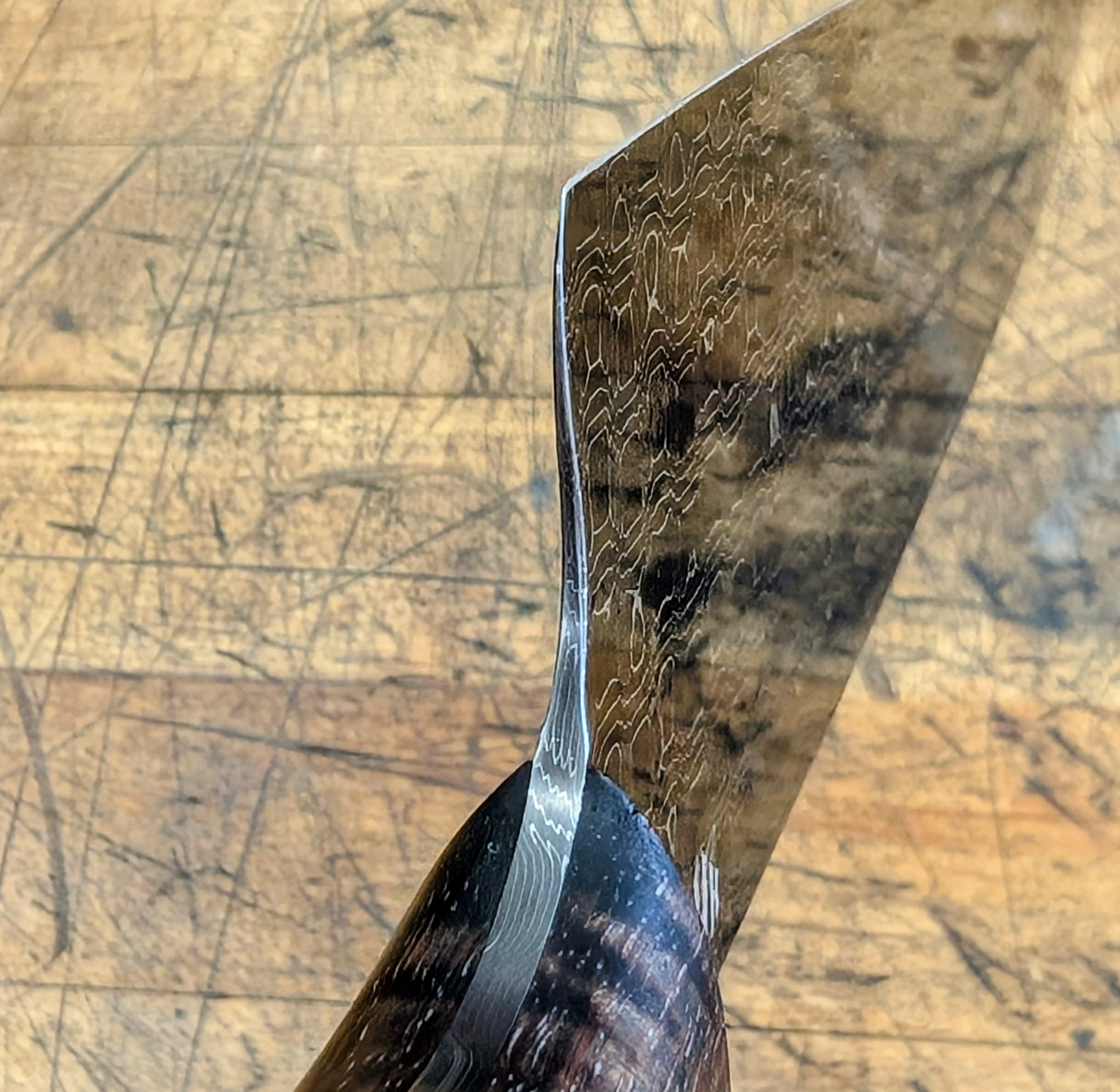 Premium 260mm Gyuto Chef Knife with Reptile Pattern - Custom Handmade Kitchen Knife for Professional Chefs & Home Cooking - Perfect for Slicing, Dicing & Meat Cutting