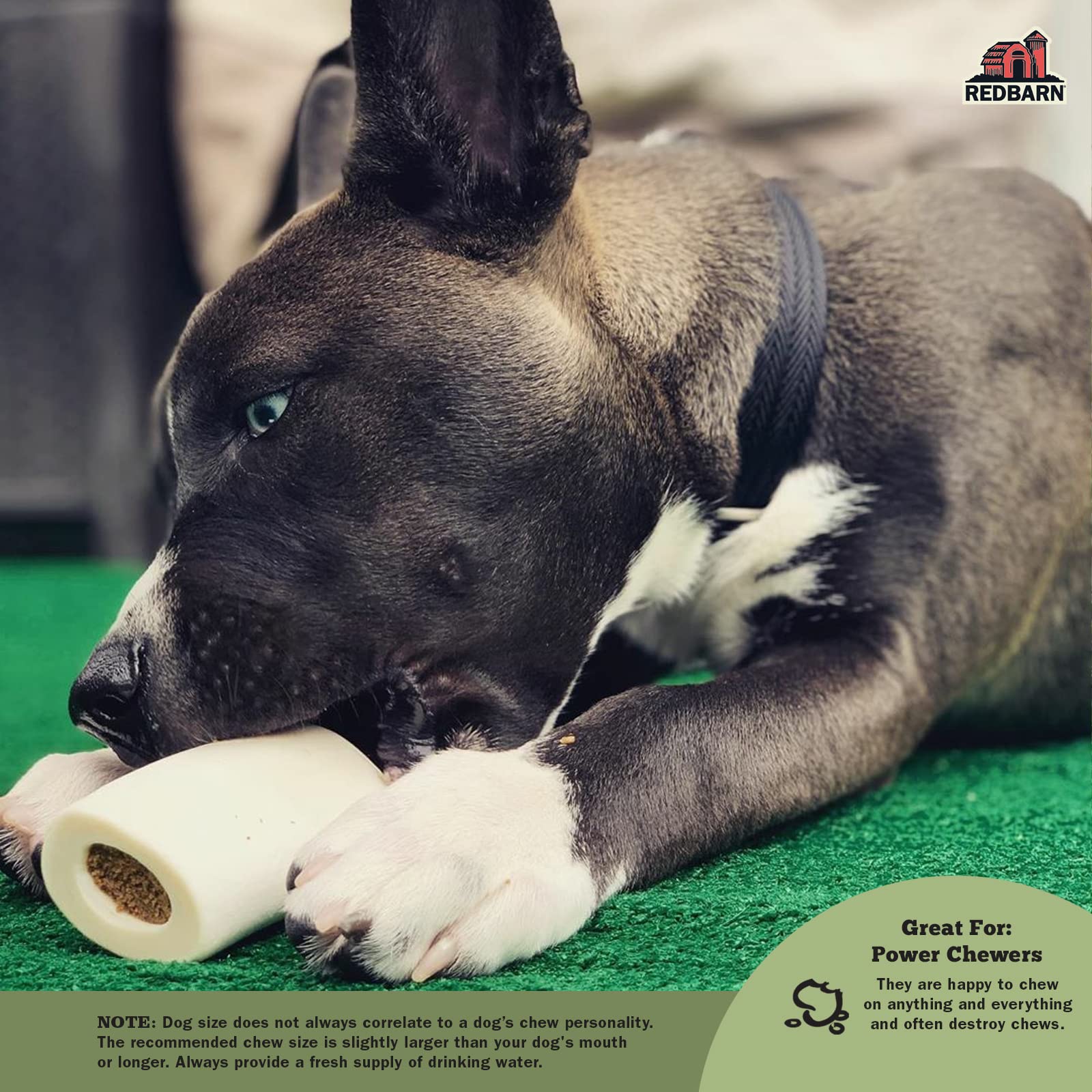 Redbarn Peanut Butter Filled Dog Bones - Long-Lasting Stuffed Femur Chew Treat for Small Dogs - Made in USA - 4 Count (Packaging May Vary) - Perfect for Training Rewards & Dental Health