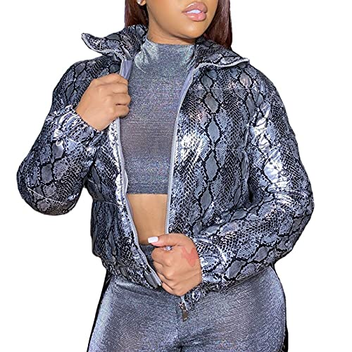 Silver 2