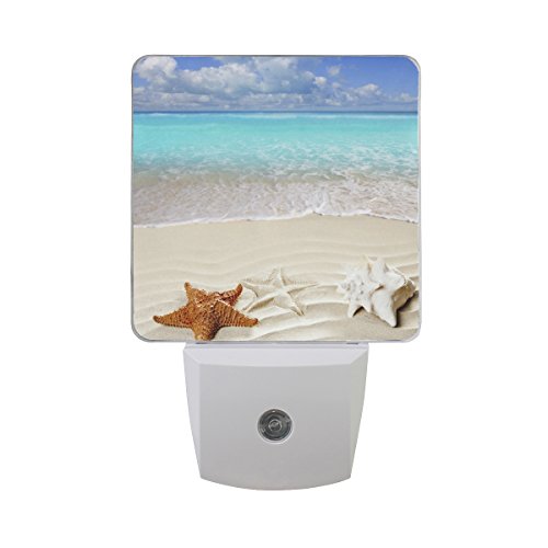 beach nightlights