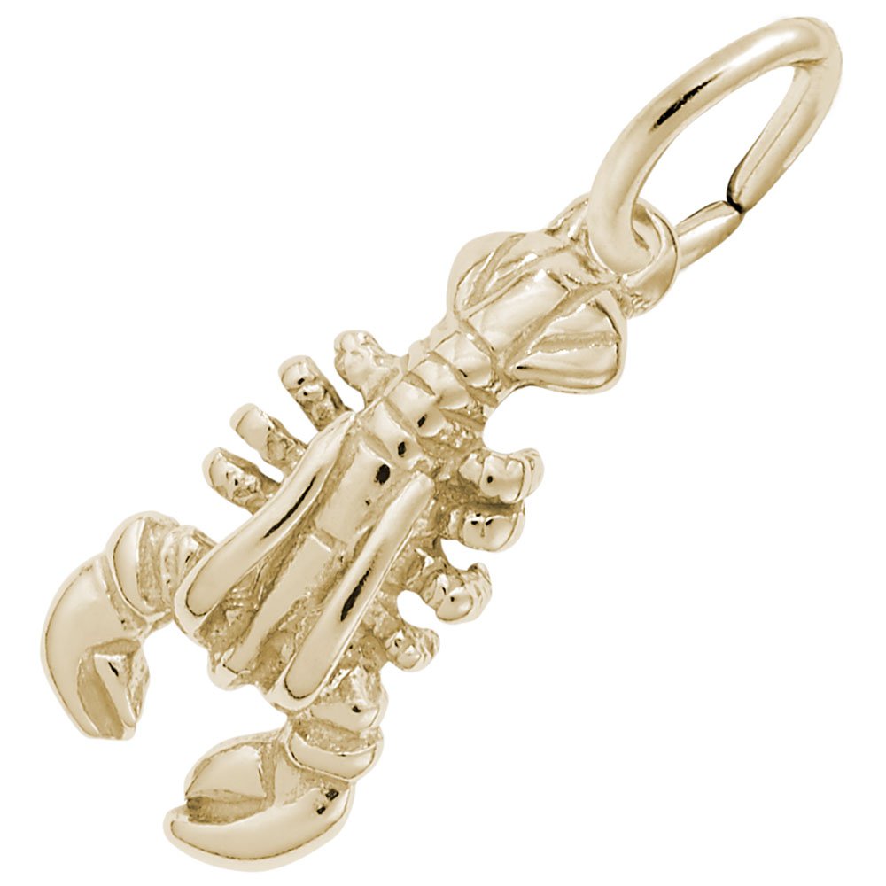 Lobster Charm for Jewelry Making - Sterling Silver Clasp for Bracelets & Necklaces - Perfect for DIY Crafts, Gifts, and Personalized Accessories