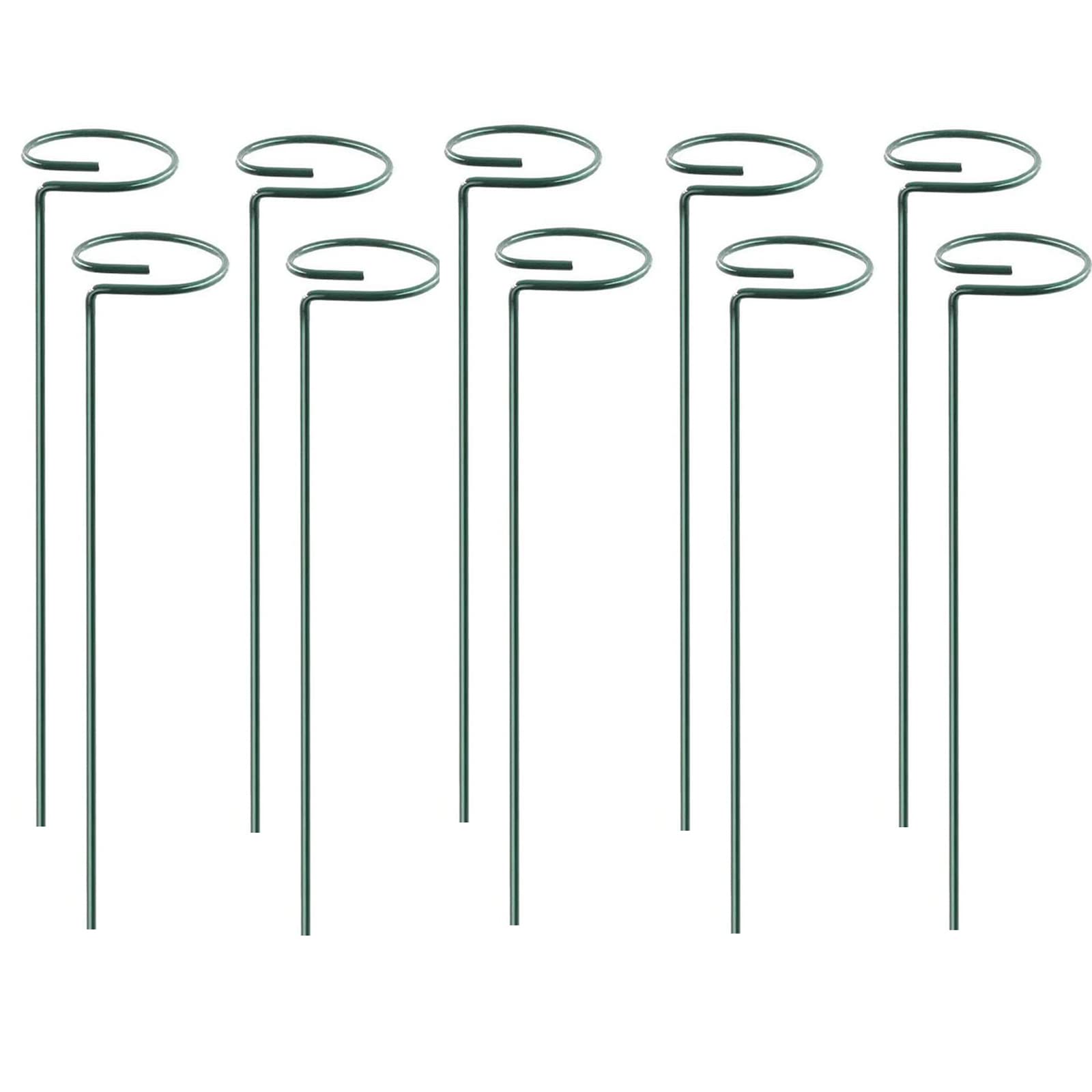 Rylod 10 Pack Metal Plant Support Stakes - Garden Single Stem Support Rings for Potted Plants & Flowers | Durable Plant Stake Supports for Indoor/Outdoor Gardening, Tomato Vines, and Climbing Plants