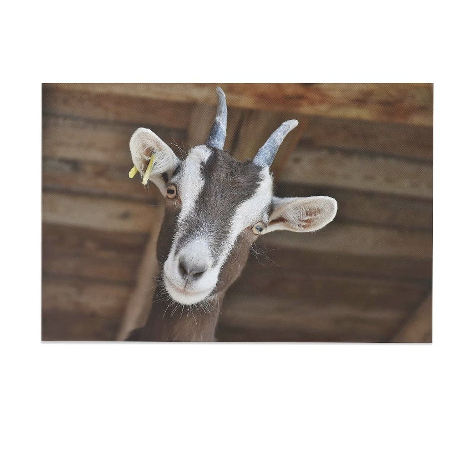 Goat Animal Poster - Mammals Canvas Wall Art Print for Living Room, Bedroom & Office Decor - 12x18 inches (30x45 cm) - Perfect Gift for Nature Lovers & Home Decoration