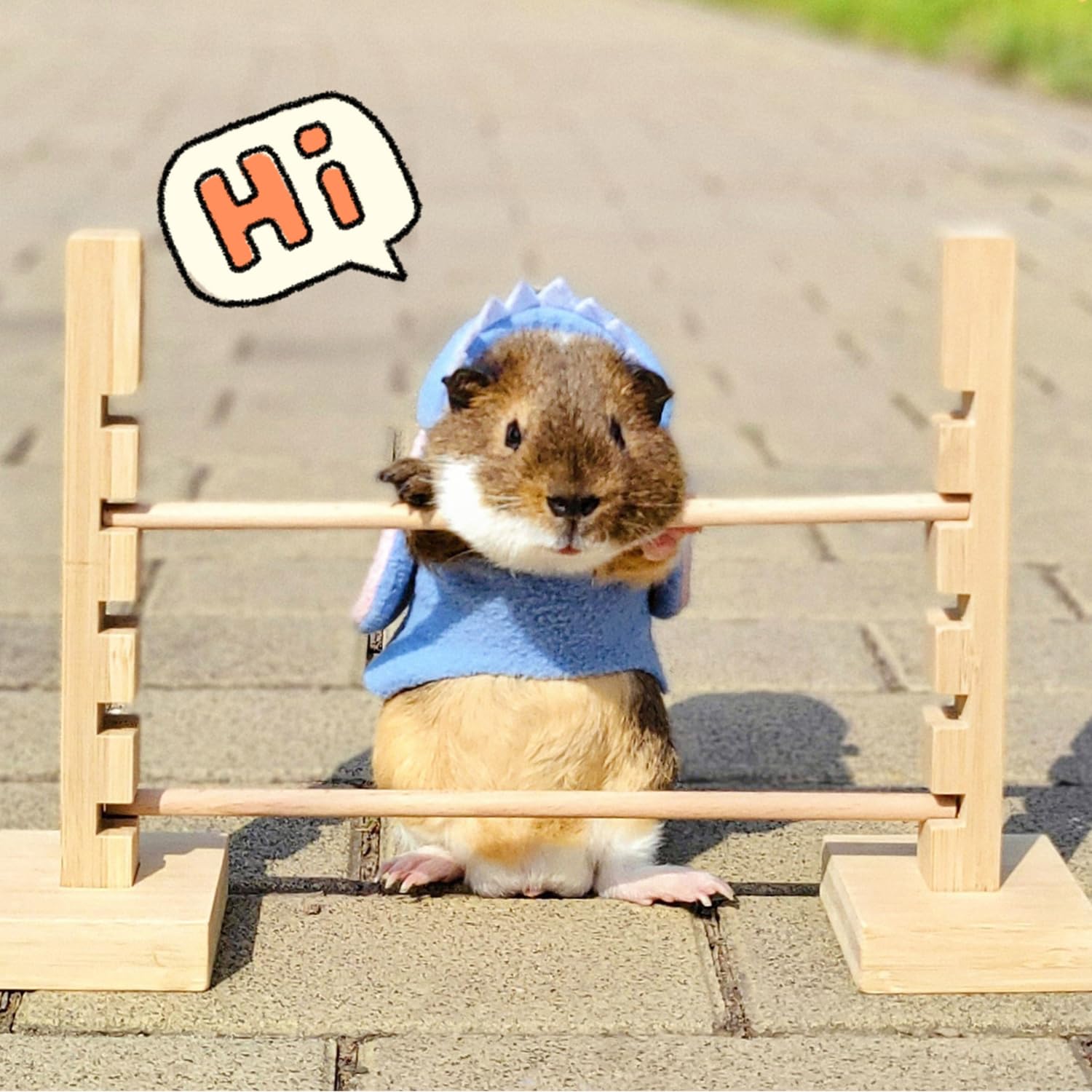 Natural Wood Guinea Pig Jump Bar Set - Adjustable Height Small Animal Training Hurdles for Rabbits, Chinchillas & Dwarf Pets - Fun Obstacle Course Toy for Exercise & Playtime Activities