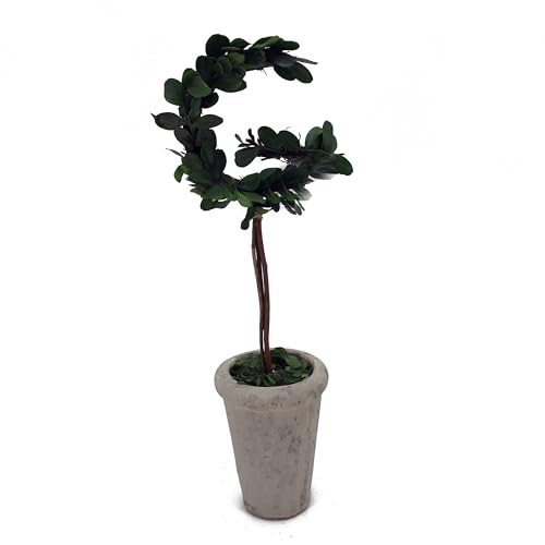 Forest Green - G