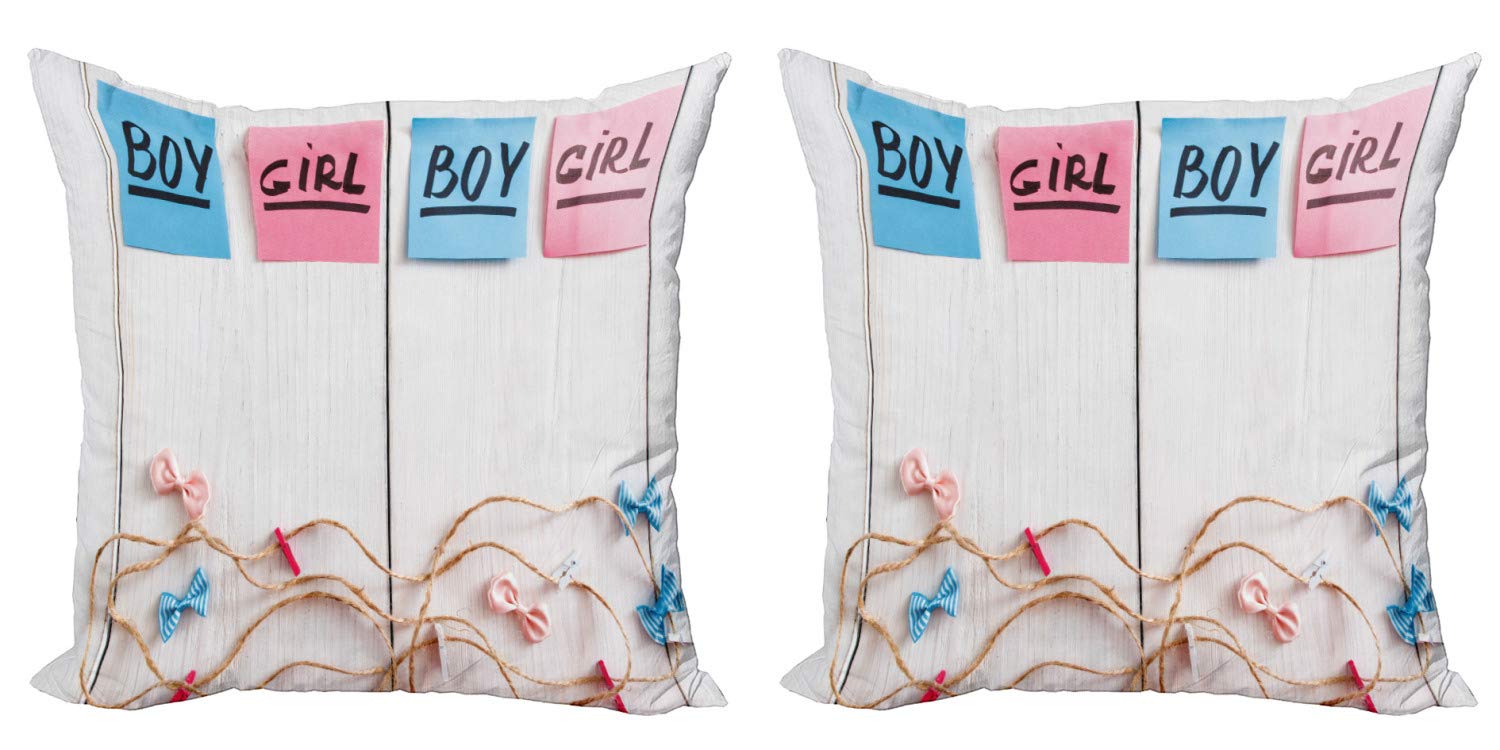 Ambesonne 2-Pack Cartoon Throw Pillow Covers 24