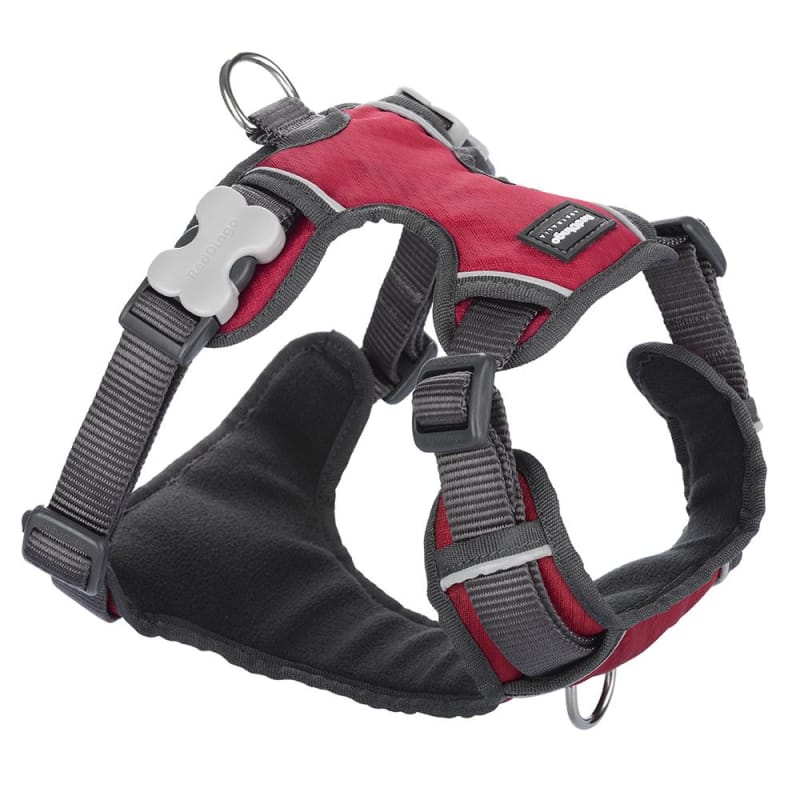 Red Dingo Padded Red Dog Harness - Adjustable & Reflective (5 Sizes) for Small to Large Dogs | Perfect for Walking, Hiking & Outdoor Adventures