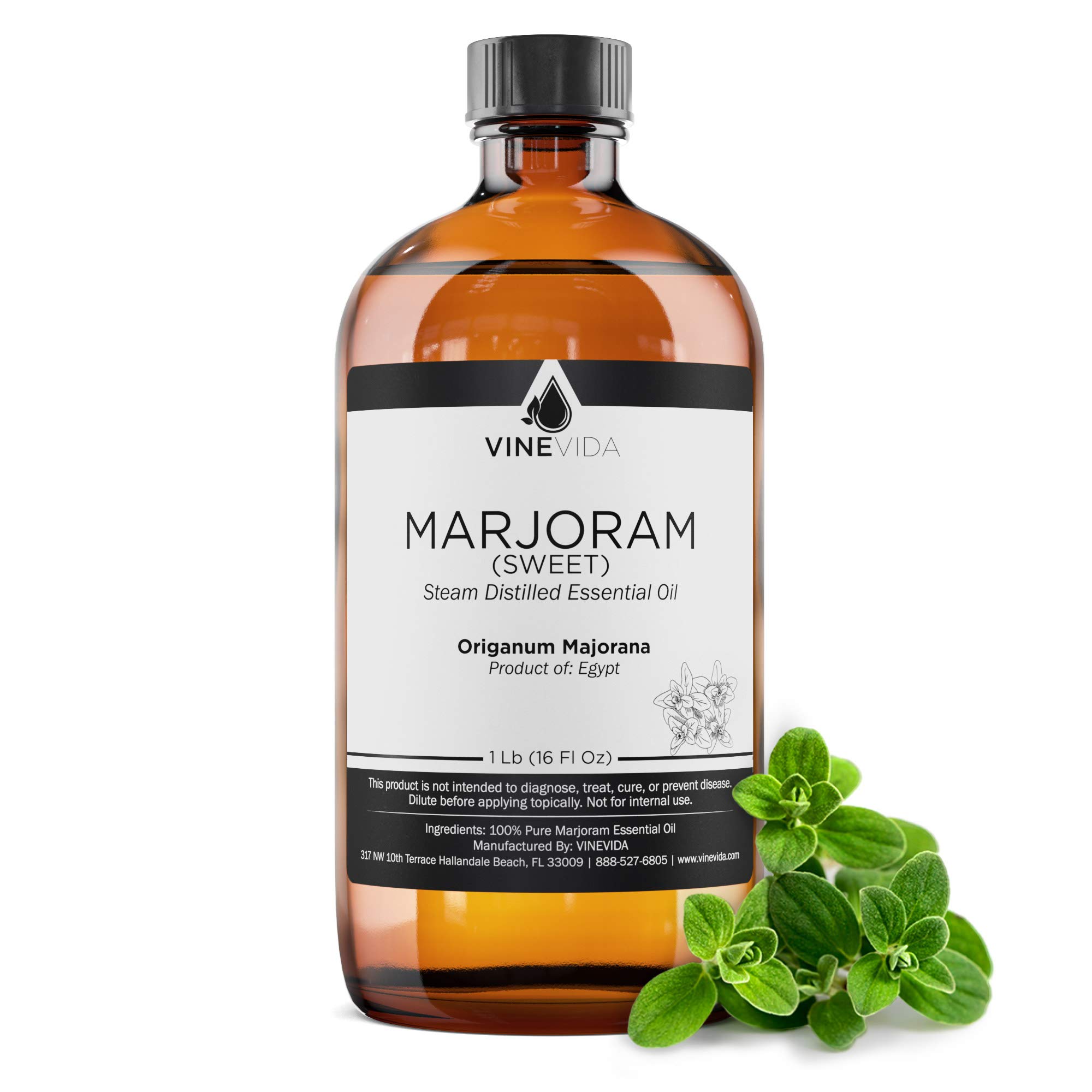 VINEVIDA 16 Oz Sweet Marjoram Essential Oil - 100% Pure Undiluted Therapeutic Grade Aromatherapy Oil in Glass Bottle (1 Pound) for DIY Soap Making, Candle Crafting, Massage Blends & Diffusers - Relaxing Herbal Scent for Stress Relief & Better Sleep