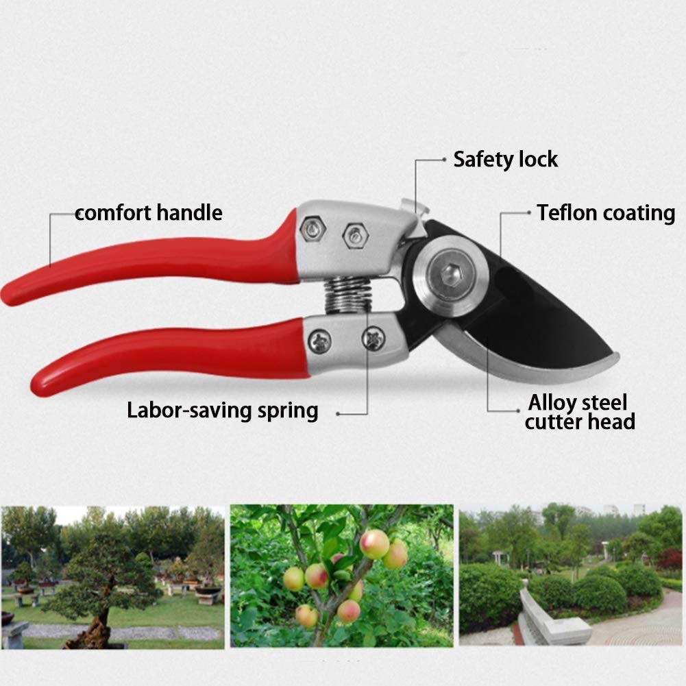 Heavy Duty Bypass Pruning Shears - Professional Garden Scissors for Trimming Trees, Shrubs, and Plants - Perfect for Landscaping, Gardening, and Outdoor Maintenance