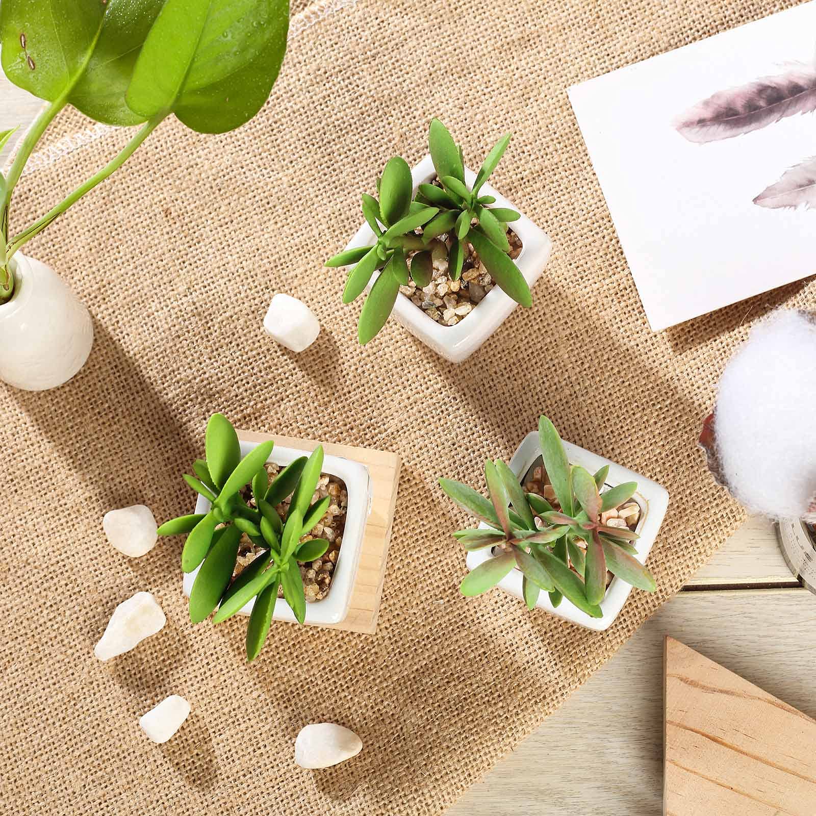Artificial Succulent Plants Set of 3 - Mini Fake Jade Succulents in Ceramic Pots for Home Office Desk Decor, Wedding Centerpieces & Shelf Displays
