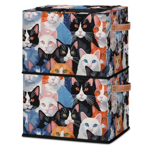Cat Pattern