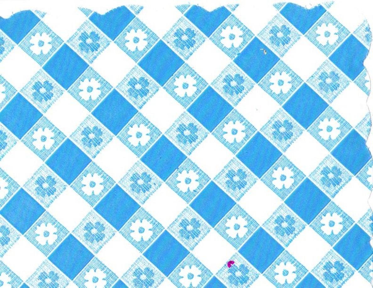 48-Pack Blue Gingham Plastic Scalloped Edge Dinner Placemats - Waterproof & Durable Table Mats for Everyday Dining, Parties & Picnics