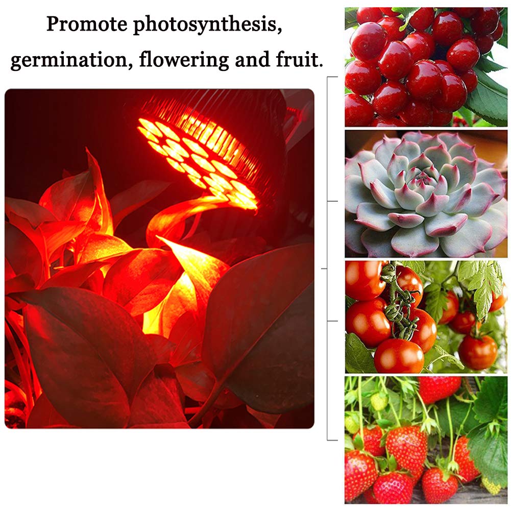 Antony 36W Red LED Plant Grow Light Bulb - Full Spectrum E26 Grow Lamp for Hydroponics & Greenhouse - Ideal for Blooming, Fruiting & Indoor Gardening | Perfect for Herbs, Vegetables & Houseplants