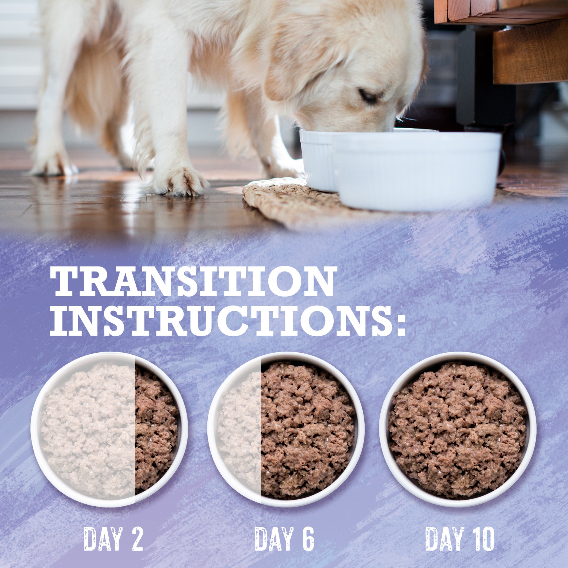 Purina Beyond High Protein Grain Free Natural Pate Wet Dog Food - Wild Turkey Liver & Duck Recipe (12 Pack, 13 oz Cans) for Adult Dogs - Perfect for Weight Management & Sensitive Stomachs