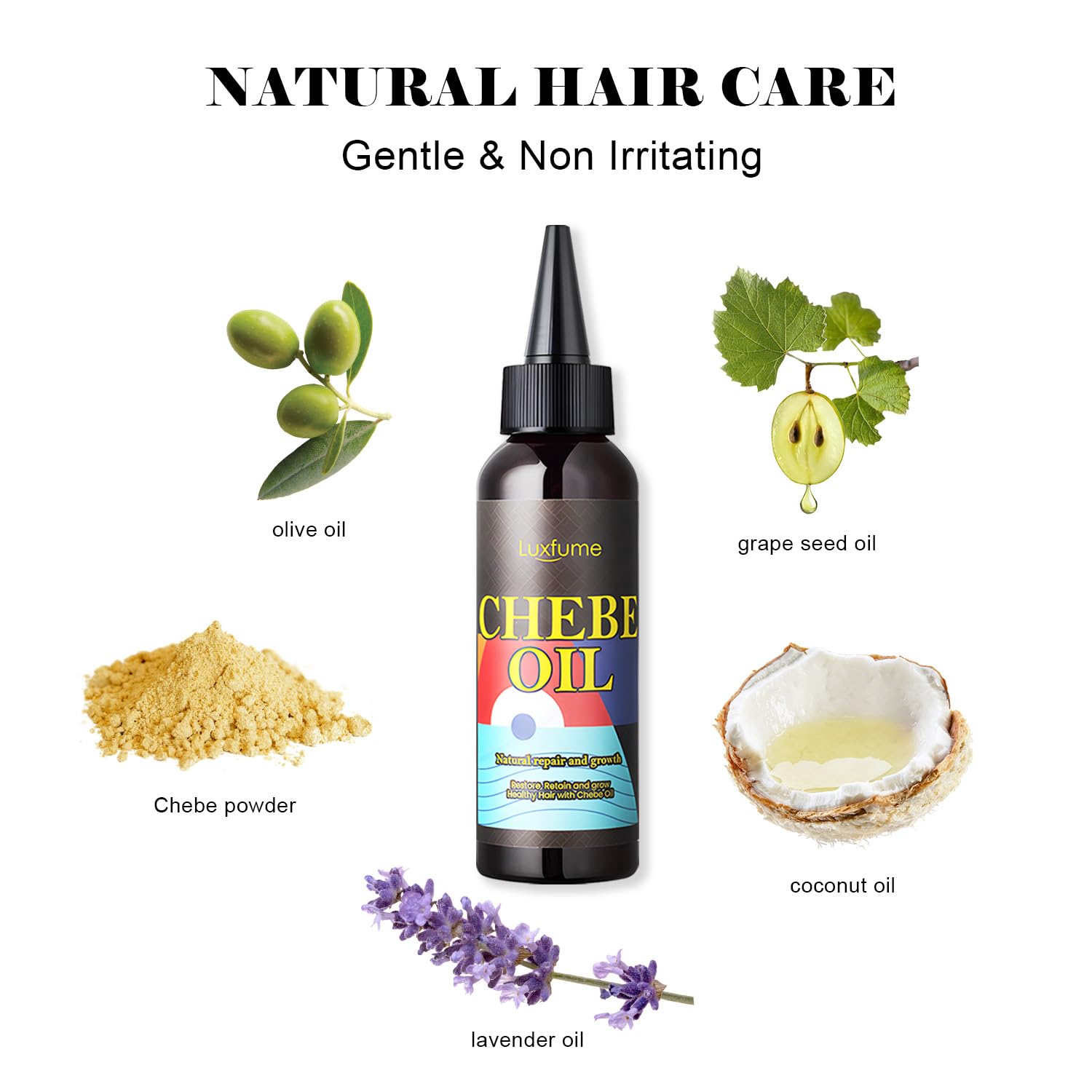 Chebe Hair Growth Oil with Chebe Powder - Natural Scalp Treatment for Thicker, Stronger & Longer Hair - Hair Thickening Products for Women & Men - Perfect for Daily Hair Care & Styling Routine