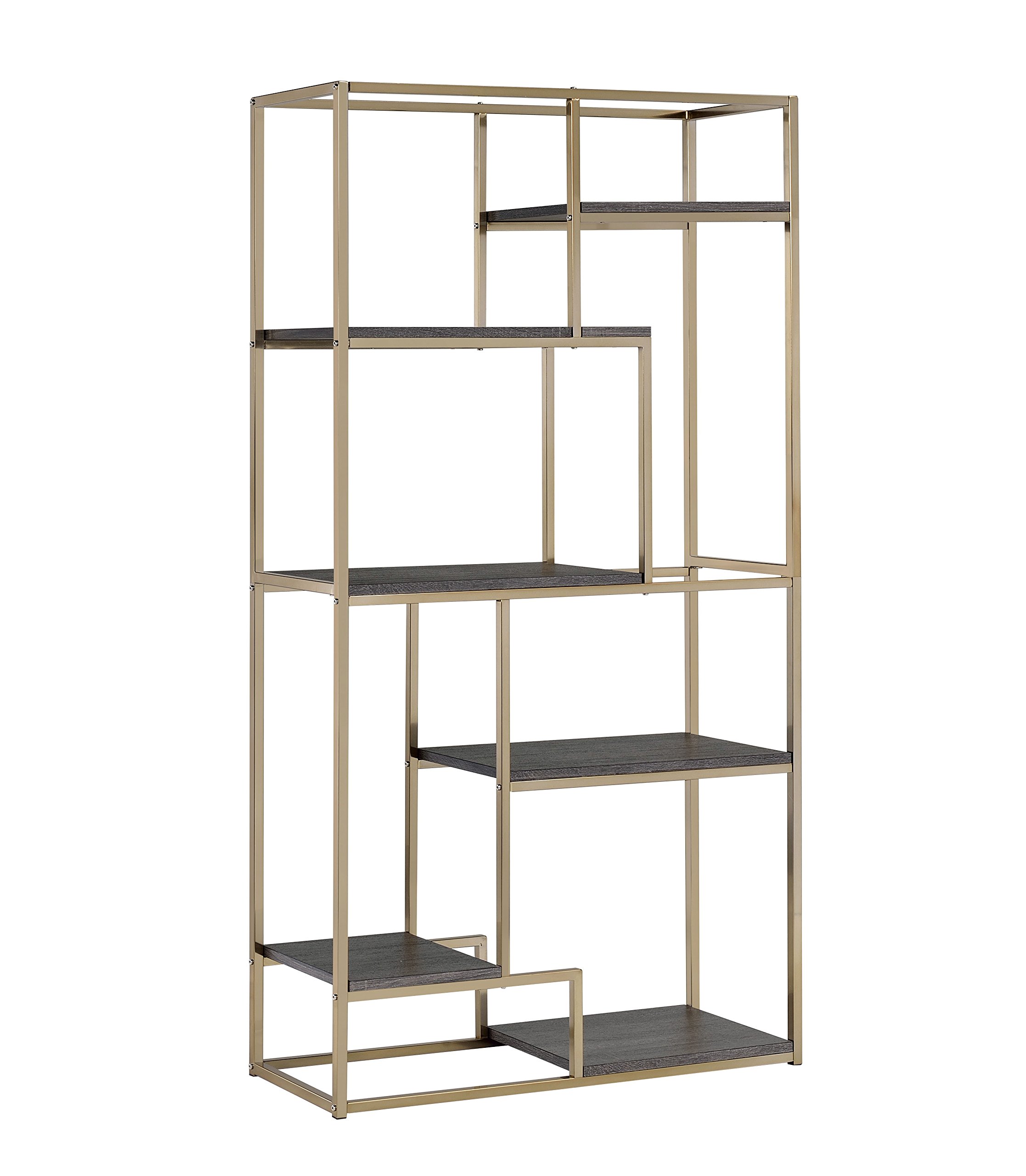 Furniture of America Corley Contemporary 6 Shelf Bookcase in Champagne - Modern Bookshelf for Living Room, Office, Bedroom & Study Organization