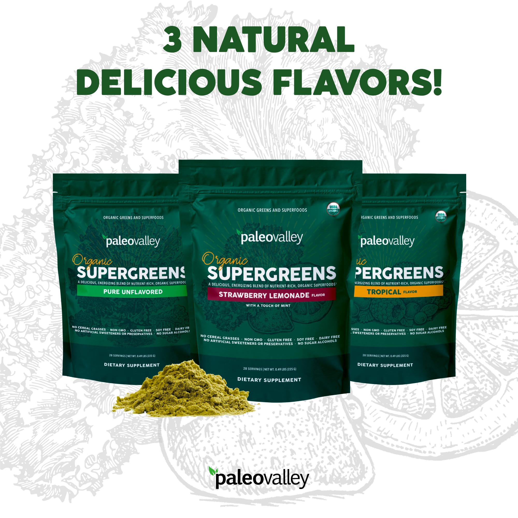 Paleovalley Organic Supergreens Powder - 23 Organic Superfoods Blend, Gluten Free, No Cereal Grasses, Soy or Grains - Paleo Green Powder Supplement (3 Pack, 28 Servings) - Perfect for Smoothies, Juices & Healthy Lifestyle Boost
