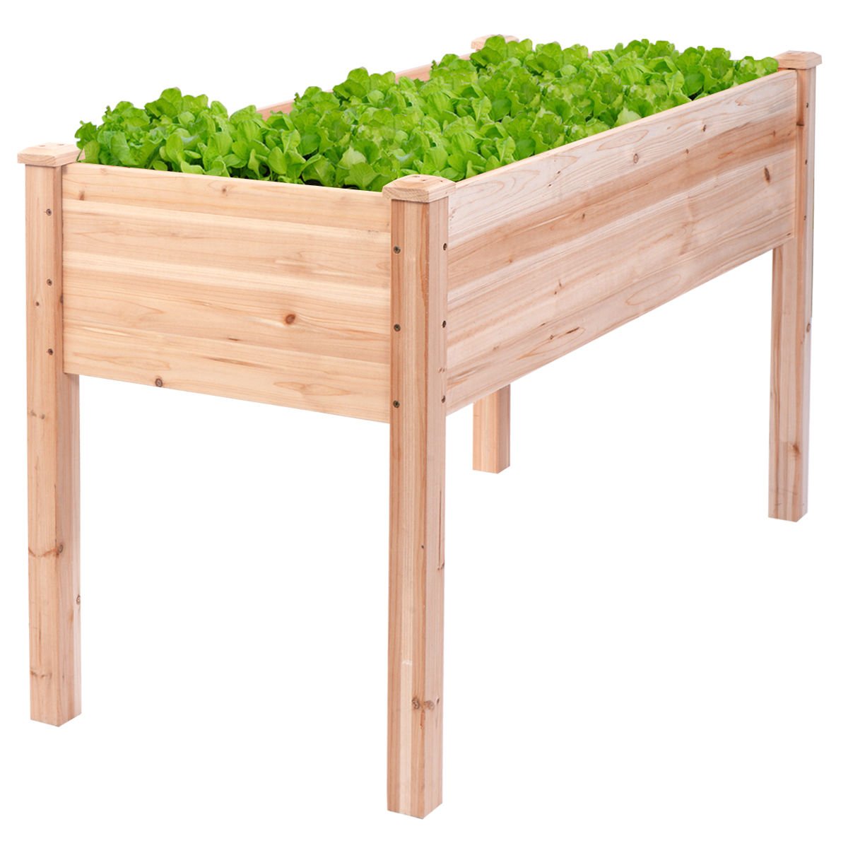 Elevated Wooden Raised Garden Bed Kit - Outdoor Vegetable & Herb Planter Box for Gardening, Patio, Backyard, and Balcony Use