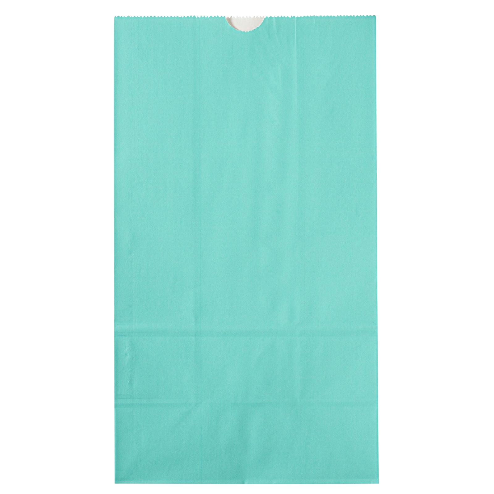 Premium Turquoise Paper Bags - 12 lb Weight Capacity, 7 x 4.25 x 12.5 Inches, 100 Count Box - Perfect for Gift Wrapping, Party Favors & Retail Packaging