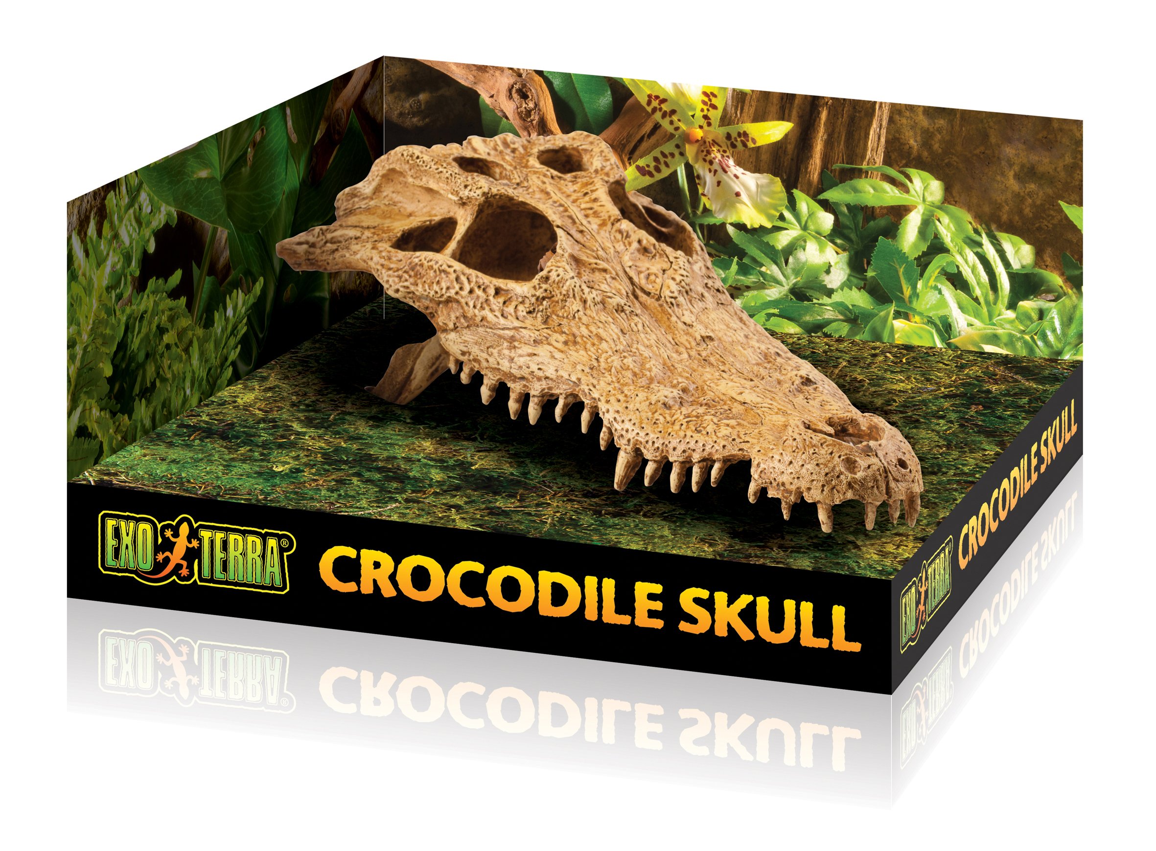 Exo Terra Realistic Crocodile Skull Terrarium Decoration - Perfect for Reptile Habitats, Aquariums & Gothic Home Decor