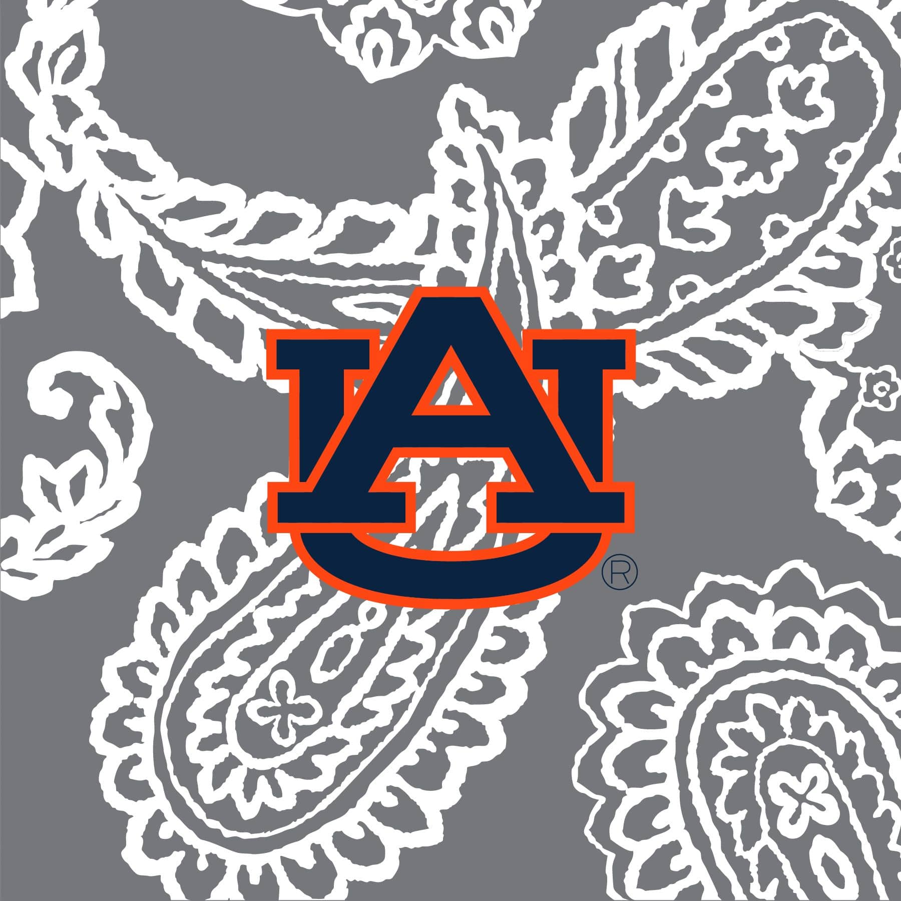 Soft & Cozy Collegiate Plush XL Throw Blanket - Extra Large 60