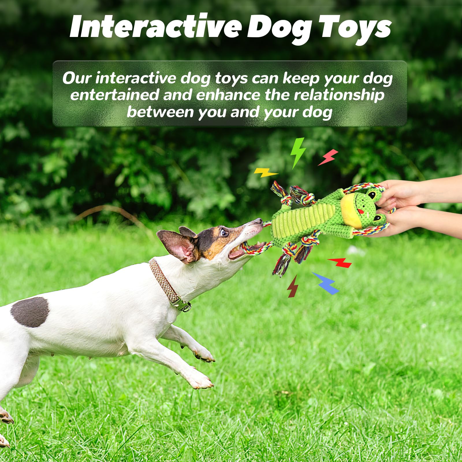 **Squeaky Plush Dog Toys with Crinkle Paper & Rope - Interactive Chew Toys for Small, Medium & Large Dogs - Perfect for Playtime, Training & Teething Relief**