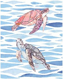 Sea Turtle