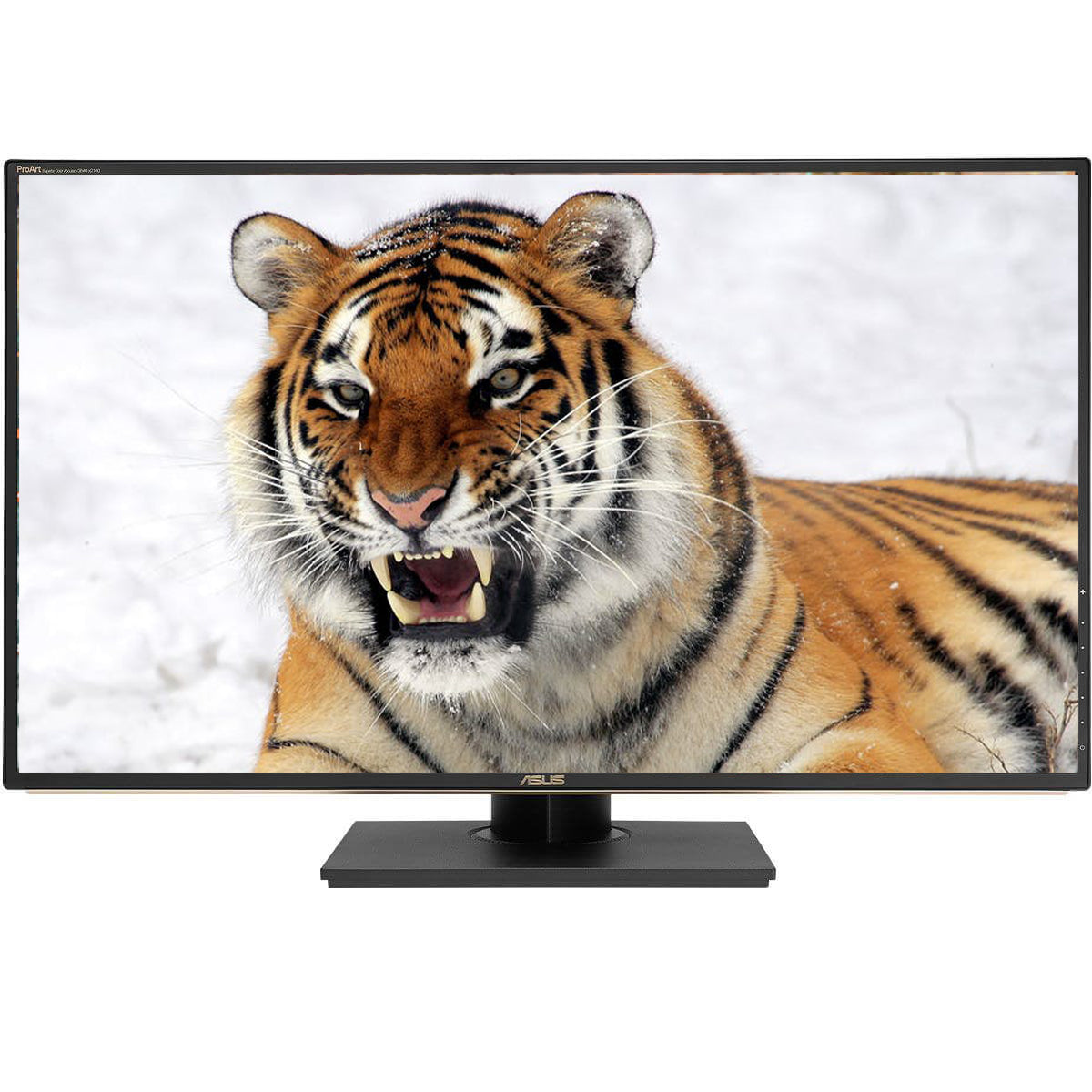 ASUS ProArt PA329C 32-inch 4K UHD HDR600 IPS Professional Monitor for Graphic Design, Video Editing & Photography - Perfect for Creative Studios & Home Offices