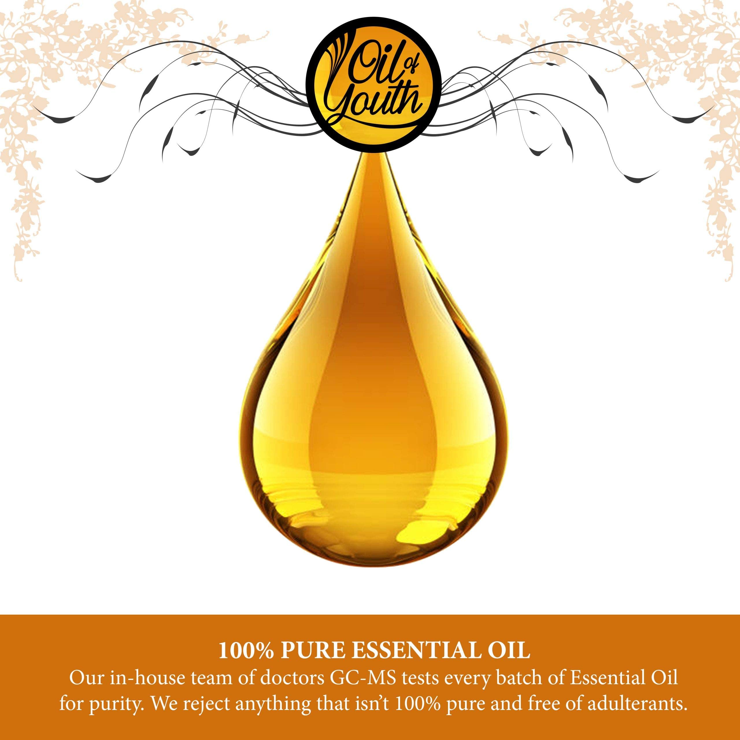 Pure Cedarwood Essential Oil (16oz Bulk) - 100% Natural Aromatherapy Oil for Diffusers, Massage & Relaxation | Cedar Wood Oil for Home Spa, Meditation & Stress Relief