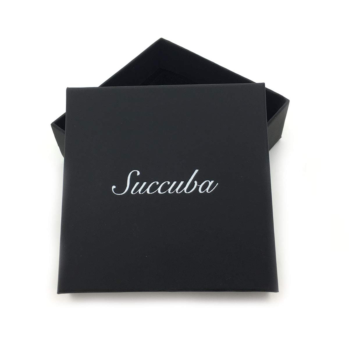 Succuba Padlock Necklace - Heart Lock Choker with Key & Box for Women, Men & Pets (16-22 Inch Adjustable) - Gothic Jewelry for Couples, BDSM, Fashion Accessories