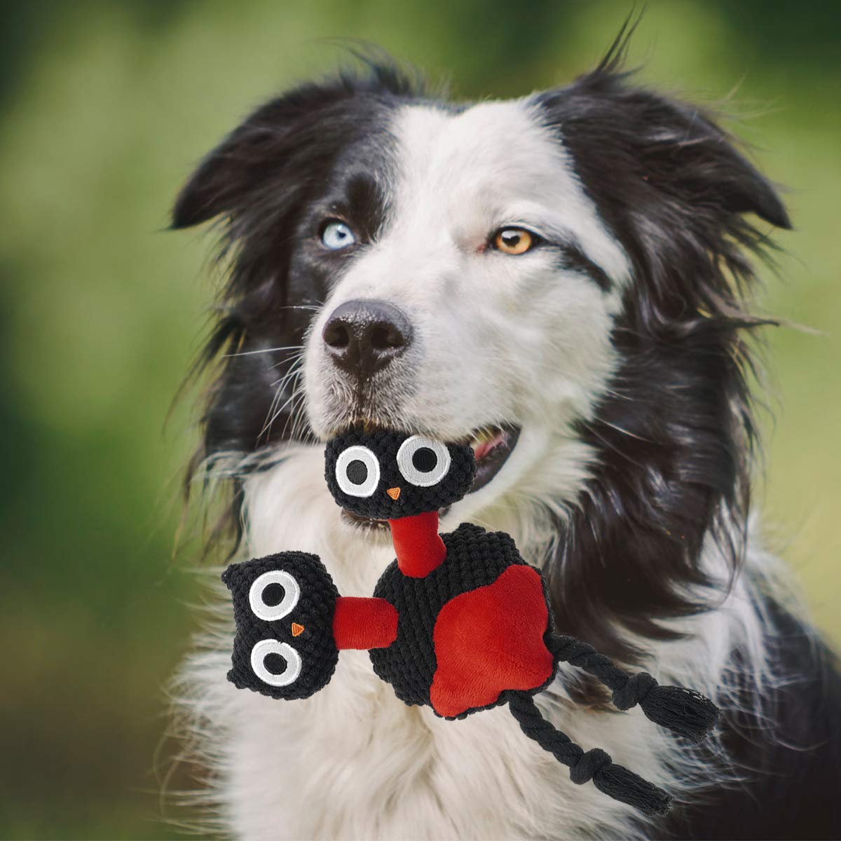 Soft Plush Squeaky Dog Toys - Interactive Chew Toys for Puppies, Small, Medium & Large Dogs | Natural Material for Teeth Cleaning & Anxiety Relief | Perfect for Playtime, Training & Crate Comfort