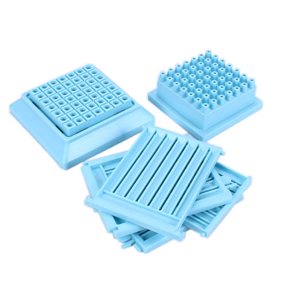 49-Hole Meat Skewer Kebab Maker Box - Quick BBQ Skewer Tool for Chicken, Beef & Vegetables - Durable Kitchen Accessory for Grilling, Camping & Outdoor Cooking (Blue)
