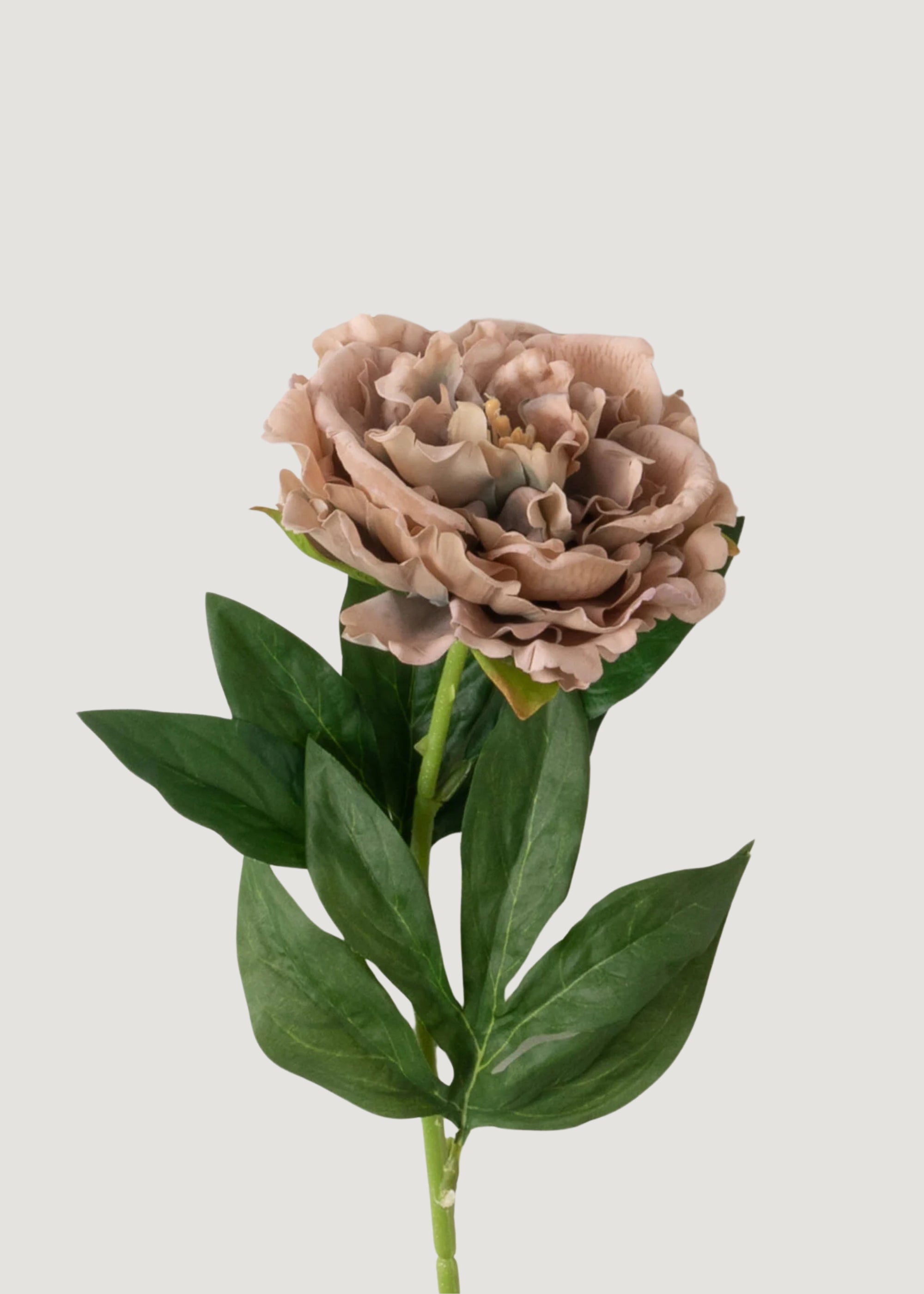 Real Touch Peony Artificial Flowers - Mauve Taupe Fake Bouquet (24.5 Inch) for Wedding Centerpieces, Home Decor & Office Arrangements