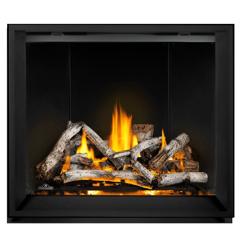Napoleon Elevation X 42 Inch Direct Vent Gas Fireplace - EX42 | Indoor Heating for Living Rooms & Bedrooms | Modern Home Decor