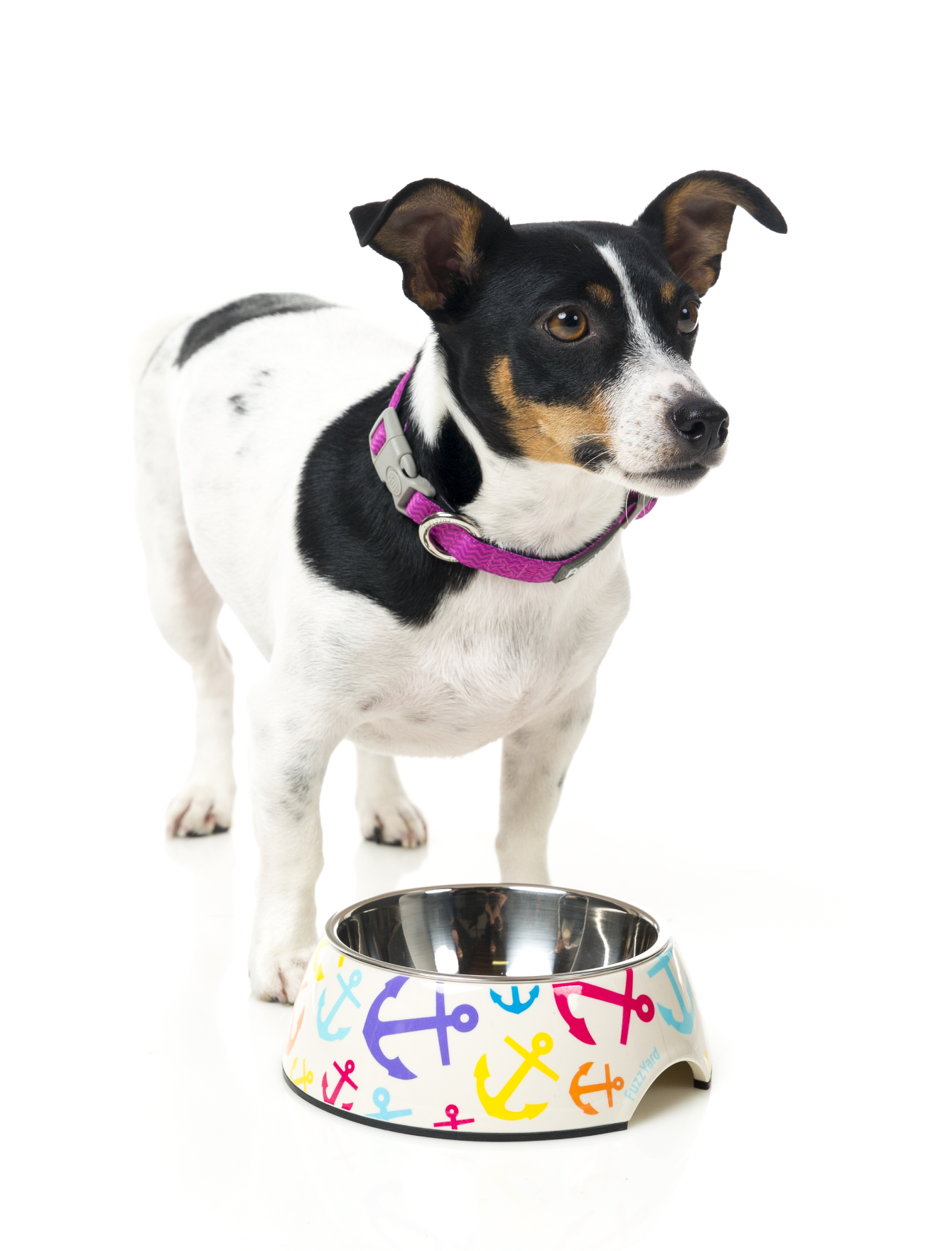FuzzYard Easy Feeder Slow Dog Bowl for Small Medium Large Dogs - Non-Slip Pet Food Dish for Mealtime, Travel & Outdoor Use