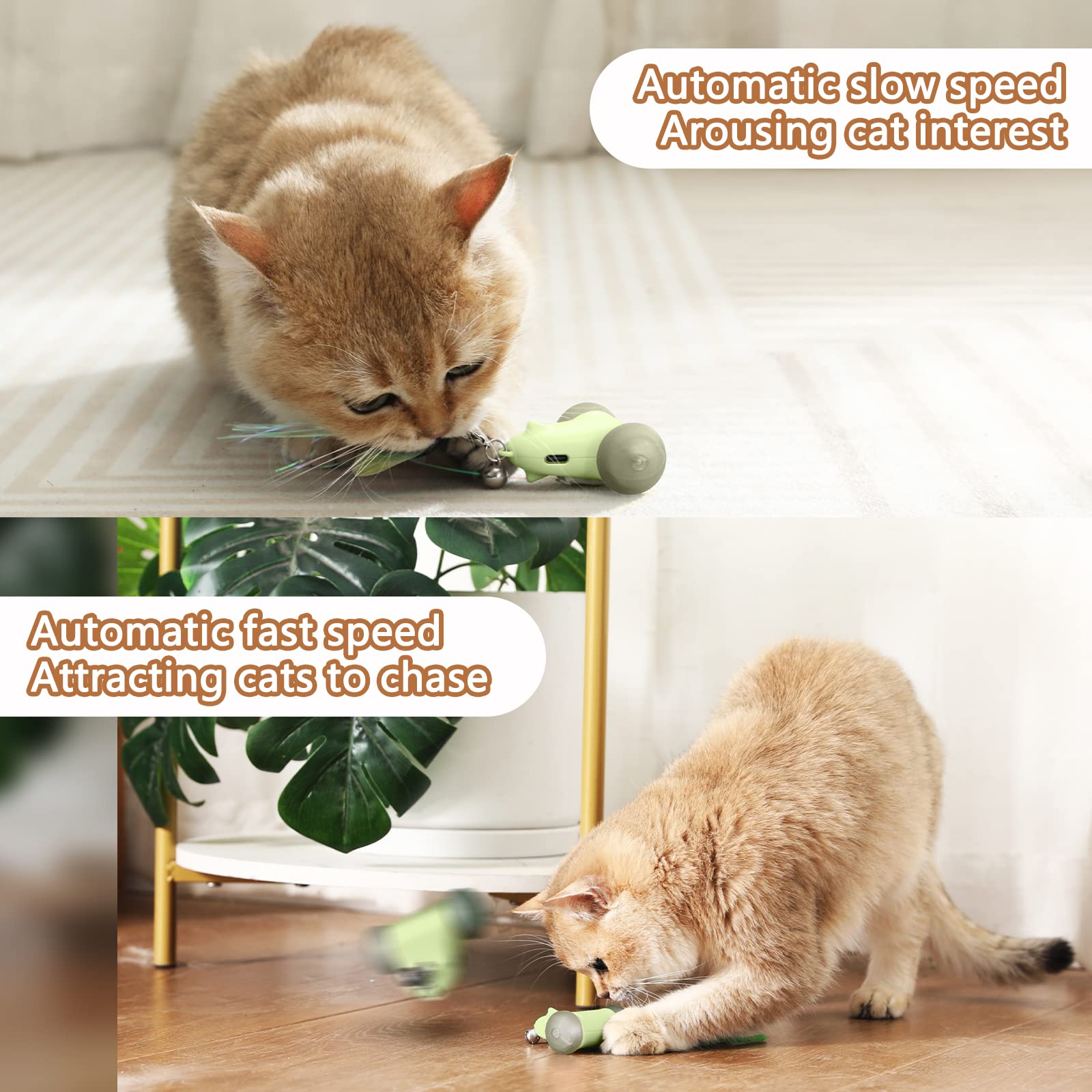 CZPET Interactive Cat Toys - Automatic Jumping Exercise Toy with Replaceable Elastic & Feather Mouse - Fun Developmental Puzzle Teaser for Kittens - Perfect for Playtime, Exercise & Mental Stimulation