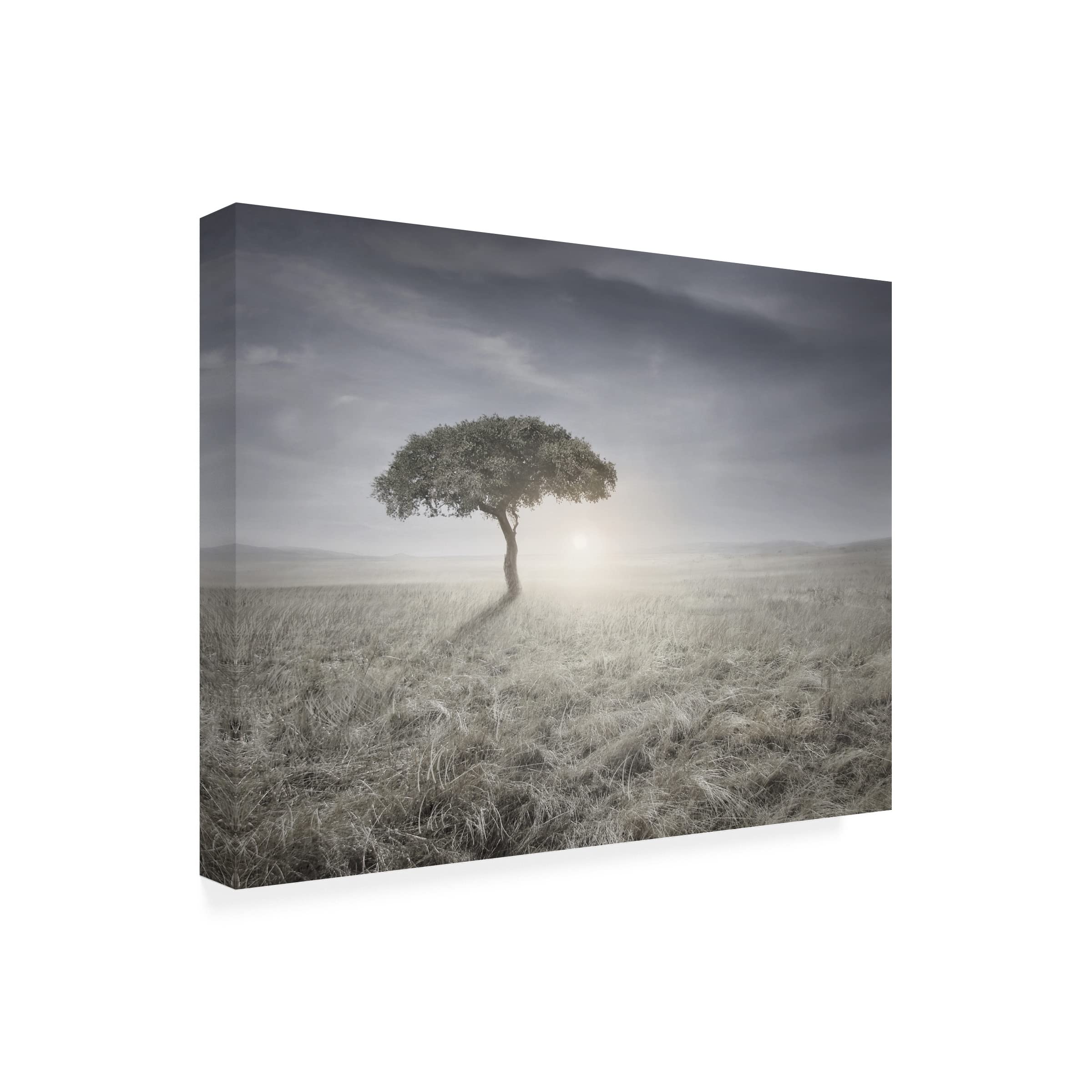 Ben Heine 'I Hear The Birds Sing' Canvas Wall Art Print - Modern Bird Painting for Living Room, Bedroom & Office Decor | Trademark Fine Art Collection