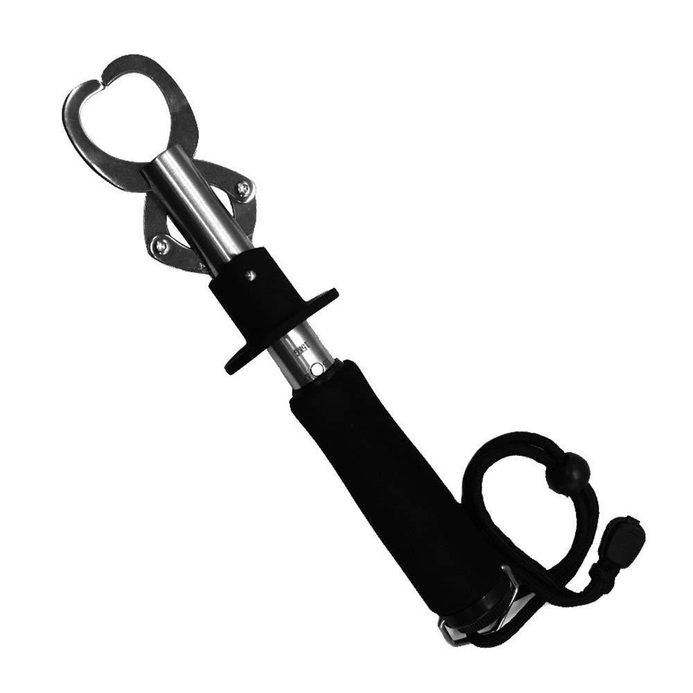 LIUMANG Stainless Steel Fish Lip Gripper - 15kg/33lb Portable Fish Scale & Fishing Tongs - Durable Fish Grabber Plier for Catch Measurement - Ideal for Bass, Trout, Salmon Fishing Gear (Black, One Size) - Perfect for Catch-and-Release, Boat Fishing & Shore Angling