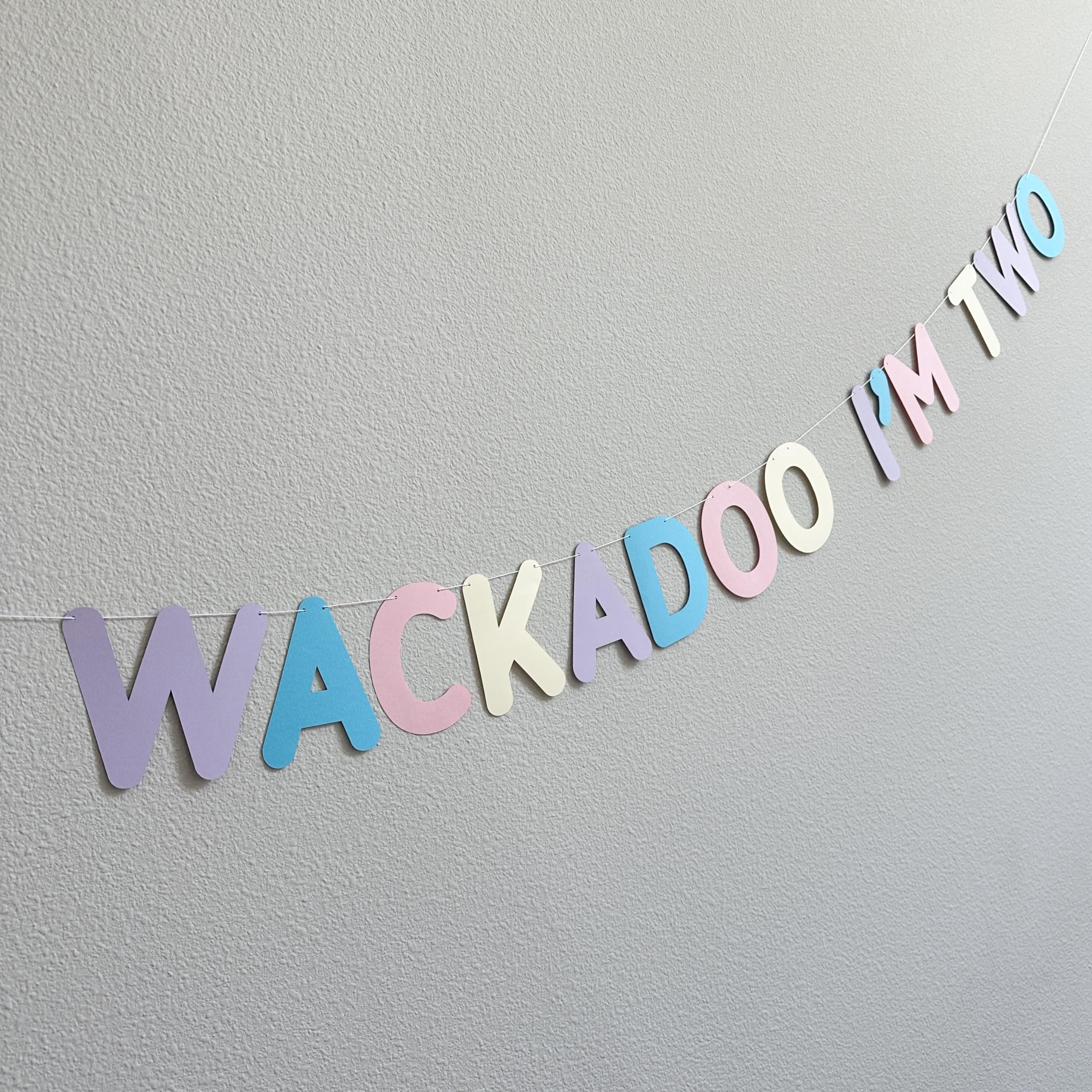 Wackadoo I'm Two Birthday Banner - Blue 2nd Birthday Party Decorations for Kids - Perfect for Baby's Second Birthday Party, Nursery Decor & Photo Backdrop
