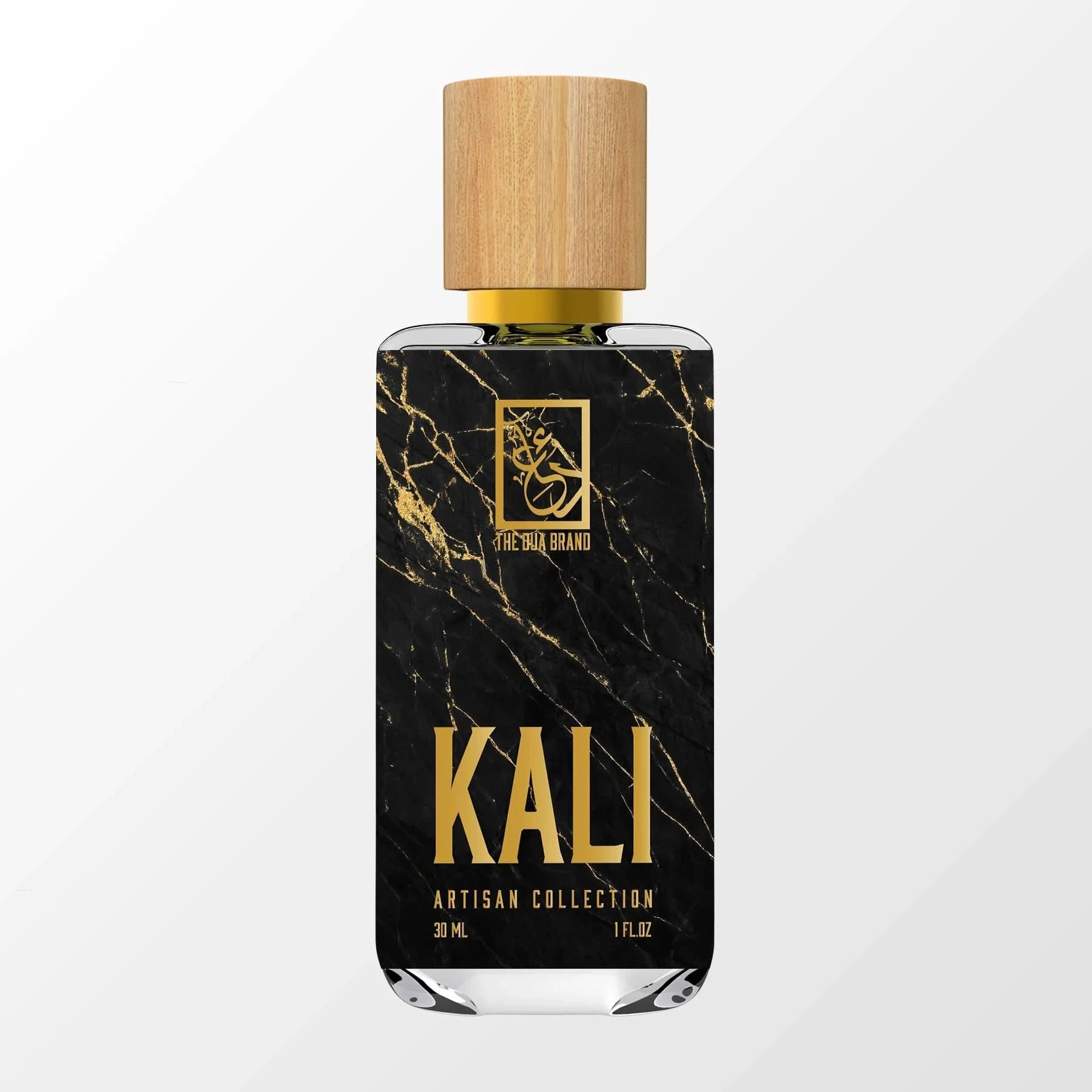 Kali Linux Cybersecurity & Ethical Hacking OS - Professional Penetration Testing Tool for Network Security Experts | Perfect for IT Security Training, Digital Forensics & Vulnerability Assessment