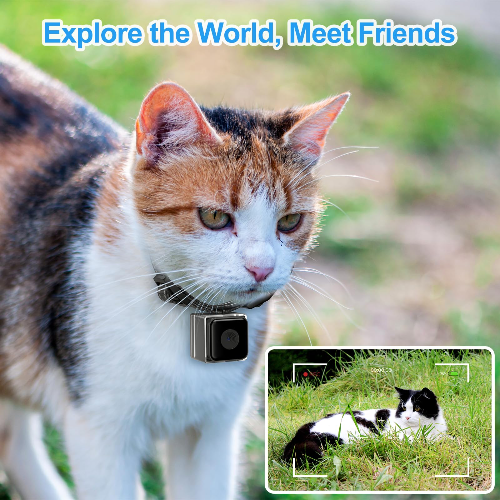 Wireless Cat Collar Camera with Video Recording - No WiFi Needed for Outdoor Pets