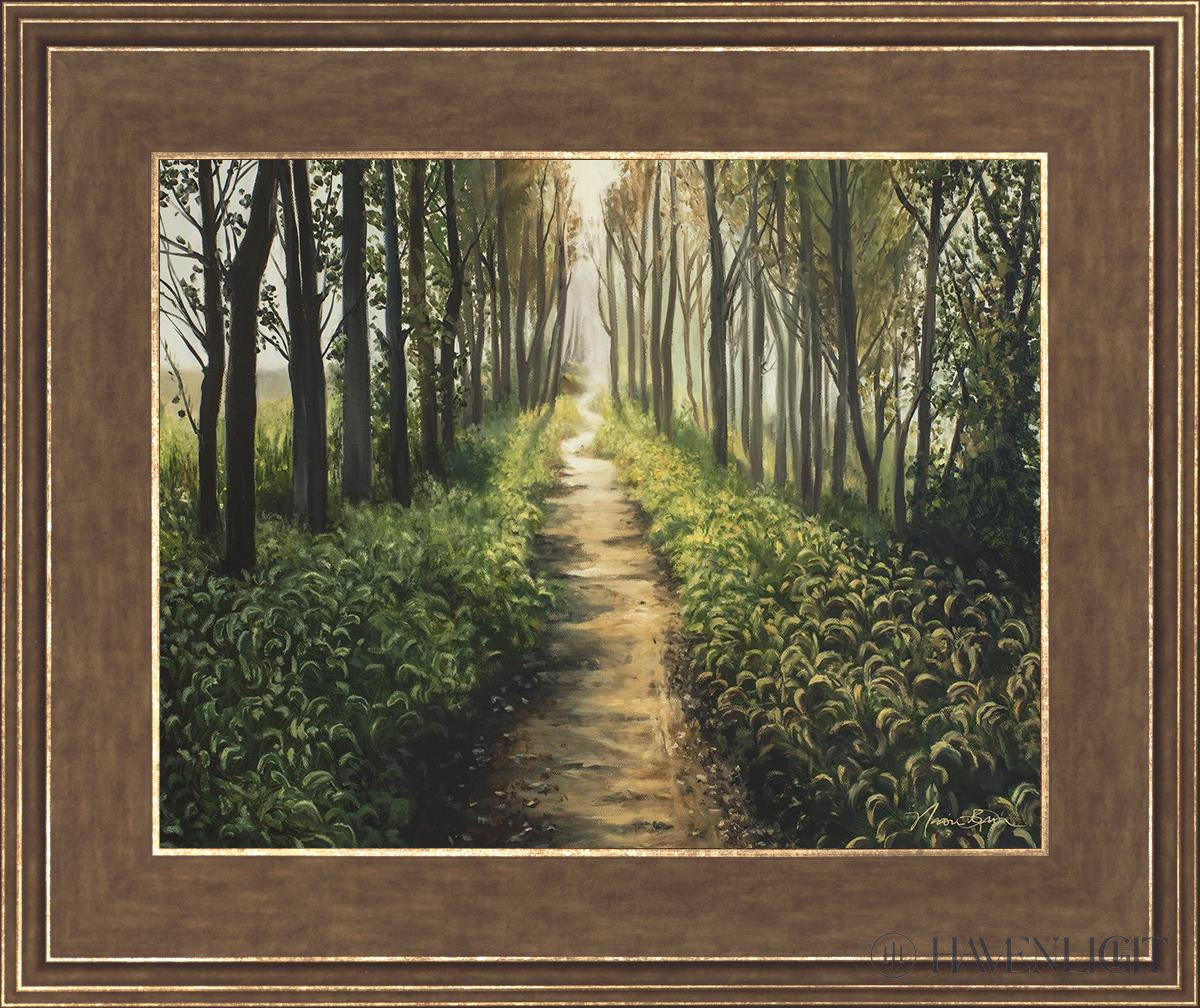 Forest Walkway - Beautiful Wooden Pathway for Gardens, Parks & Trails | Perfect for Outdoor Decor & Nature Walks