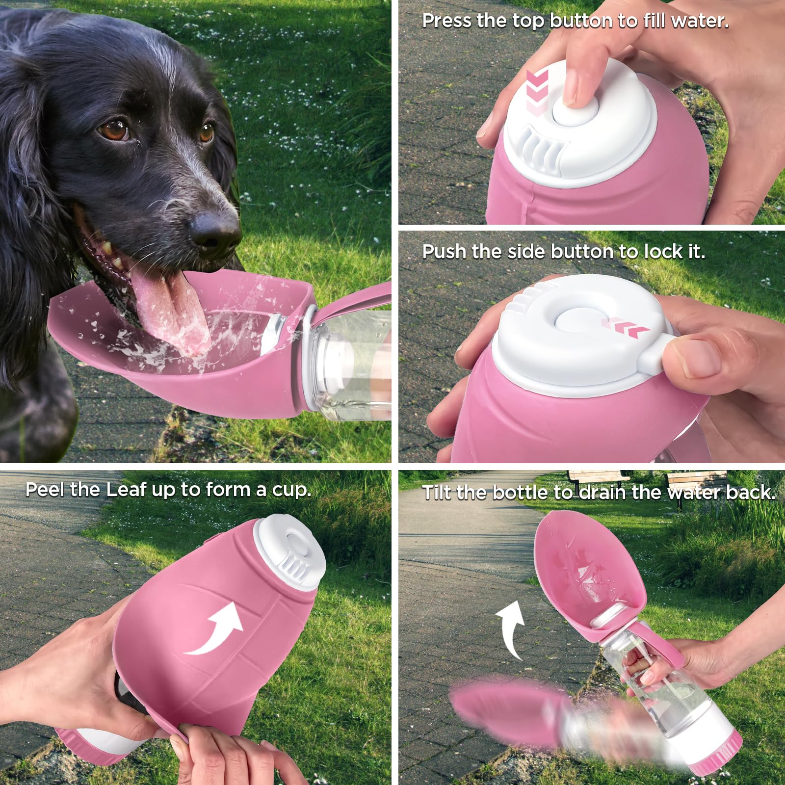 Portable Dog Water Bottle with Food Container - Leakproof BPA-Free Foldable Pet Water Dispenser & Drinking Feeder for Outdoor Walking, Hiking, Travel - Perfect for Dogs, Puppies & Pets on the Go (Large, Pink)