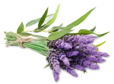 Lavender Infused
