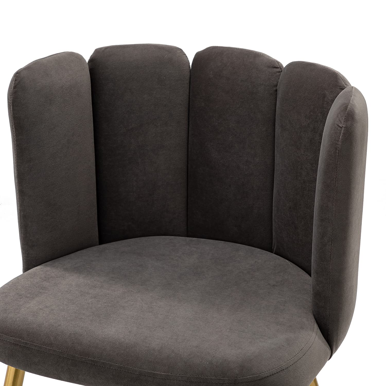 HULALA HOME Velvet Accent Chairs Set of 2 - Modern Upholstered Vanity Chair with Shell Back & Gold Metal Legs for Makeup Room, Living Room, Dining Room - Soft Grey Velvet Lounge Chairs for Bedroom, Office, Dressing Area