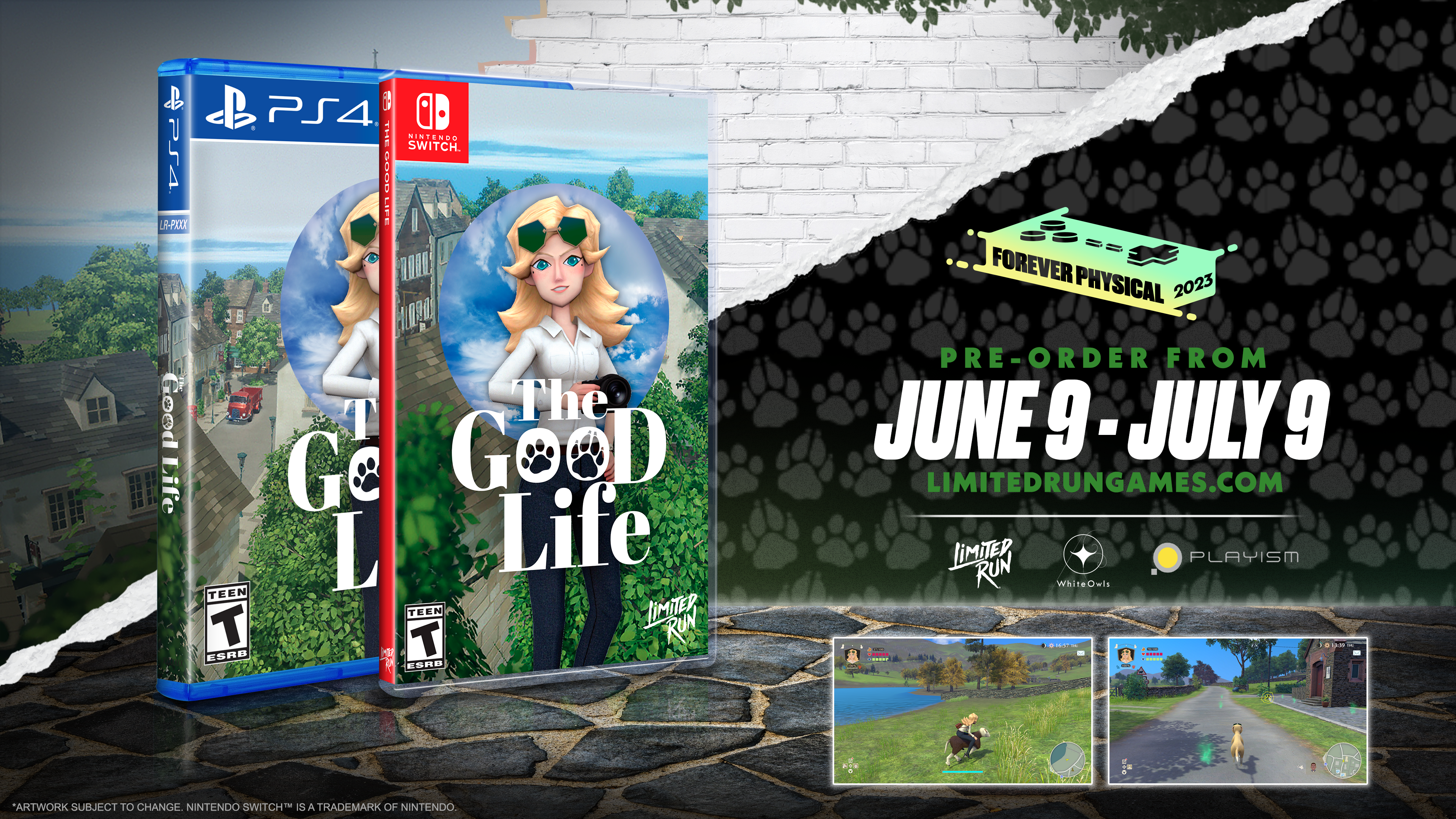 The Good Life - Limited Run #194 Nintendo Switch Game | Adventure & Mystery RPG for Adults | Perfect for Relaxing Evenings & Solo Gaming Sessions
