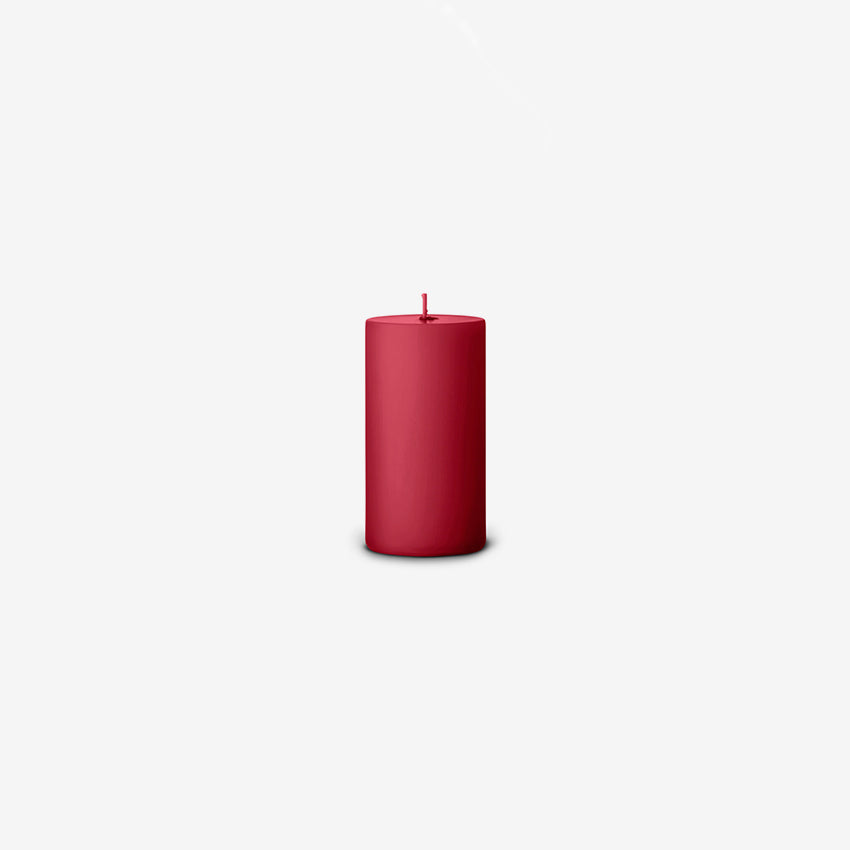 Ester & Erik 10 cm Pillar Candles - Premium Scented Pillar Candles for Home Decor, Wedding, Romantic Dinner & Relaxation