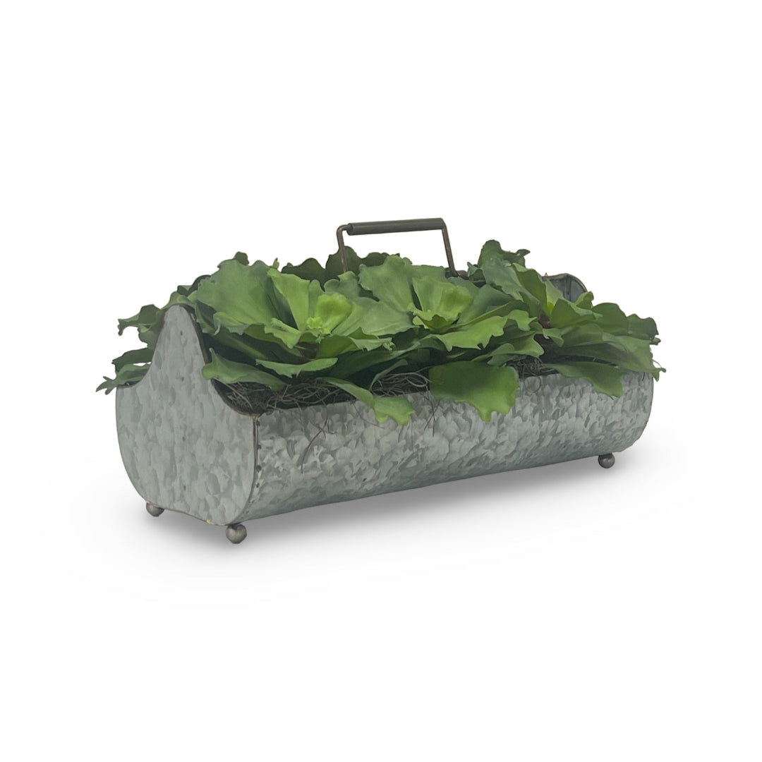Green Succulent Plants in Modern Metal Planter - Low Maintenance Indoor Houseplants for Home Office Desk Decor
