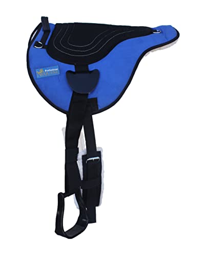 Royal Blue/Black